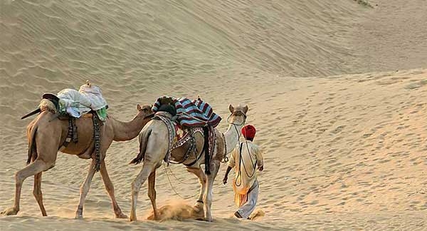 Cultural tour of Rajasthan